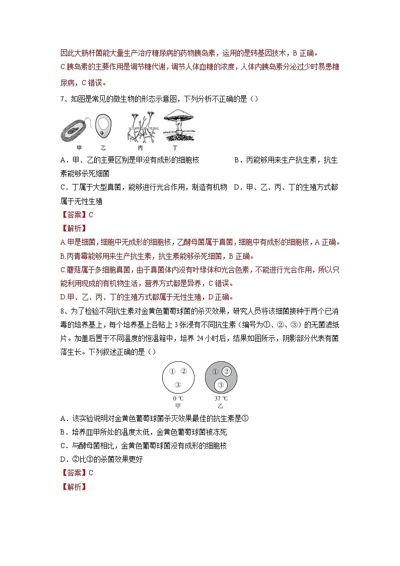 专题17 细菌、真菌和病毒(习题)-【过一轮】2022年中考生物一轮复习课件精讲与习题精练(解析版)第3页