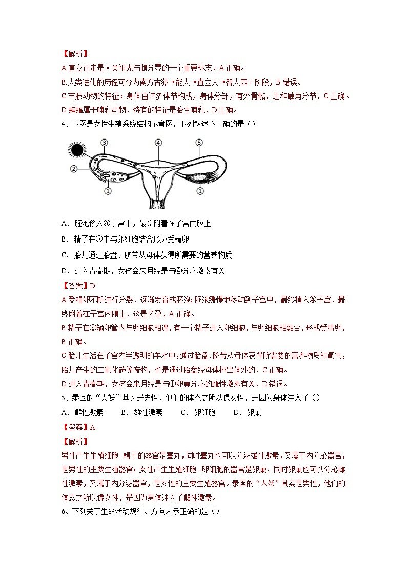 专题09 人的由来(习题)-【过一轮】2022年中考生物一轮复习精讲与习题精练02