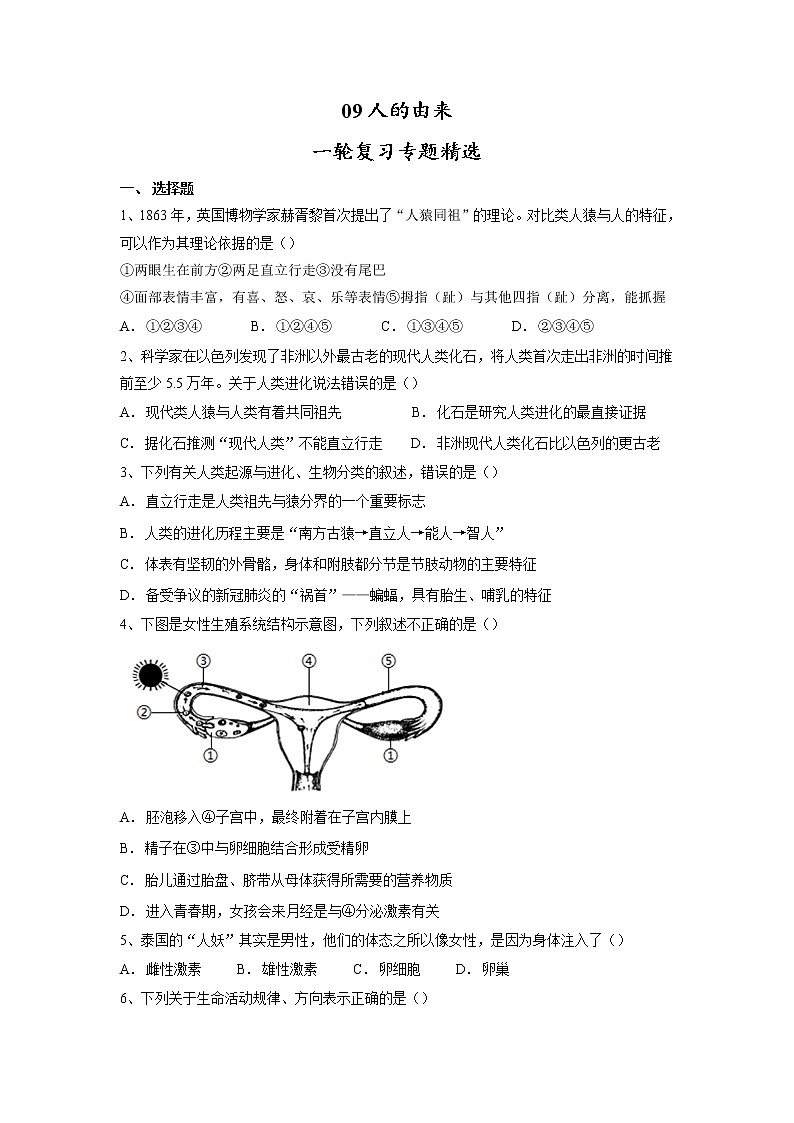 专题09 人的由来(习题)-【过一轮】2022年中考生物一轮复习精讲与习题精练01