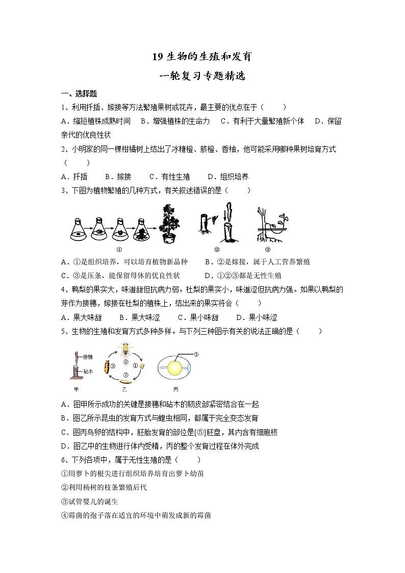 专题19 生物的生殖和发育(习题)-【过一轮】2022年中考生物一轮复习课件精讲与习题精练(原卷版)第1页