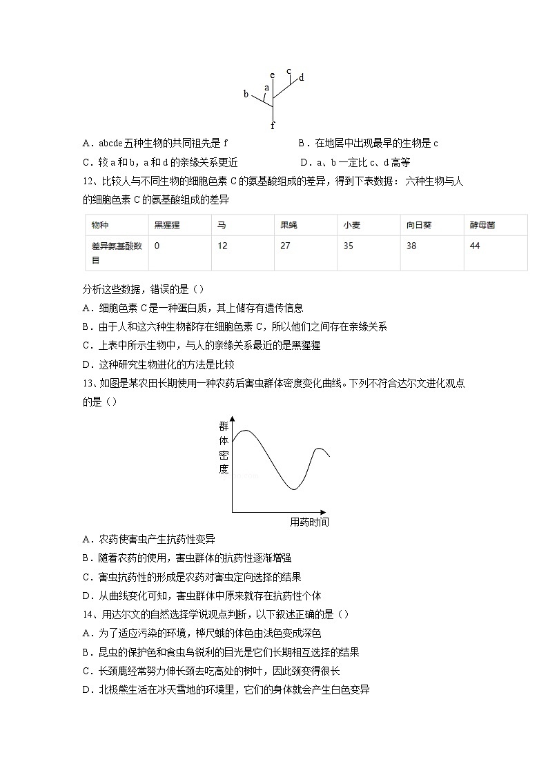 专题21 生命起源和生物进化(习题)-【过一轮】2022年中考生物一轮复习课件精讲与习题精练(原卷版)第3页