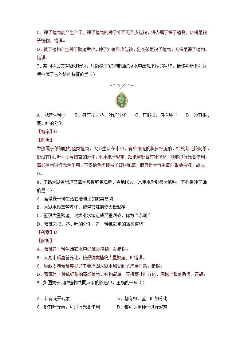 专题04 生物圈中有哪些绿色植物(习题)-【过一轮】2022年中考生物一轮复习课件精讲与习题精练(解析版)第3页