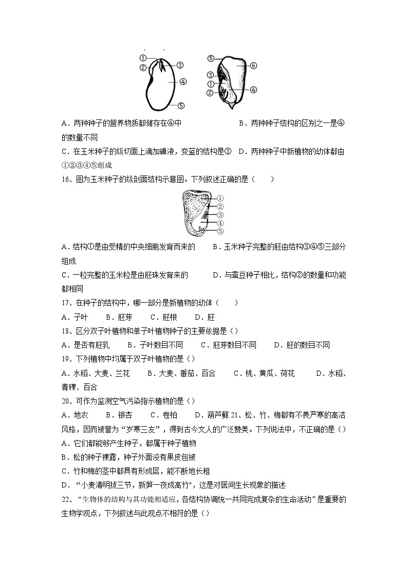 专题04 生物圈中有哪些绿色植物(习题)-【过一轮】2022年中考生物一轮复习课件精讲与习题精练(原卷版)第3页