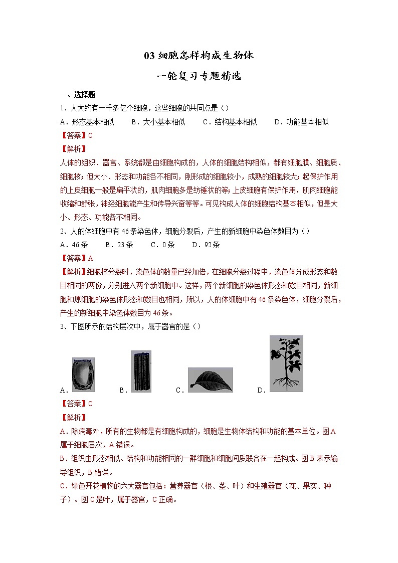 专题03 细胞怎样构成生物体(习题)-【过一轮】2022年中考生物一轮复习精讲与习题精练01