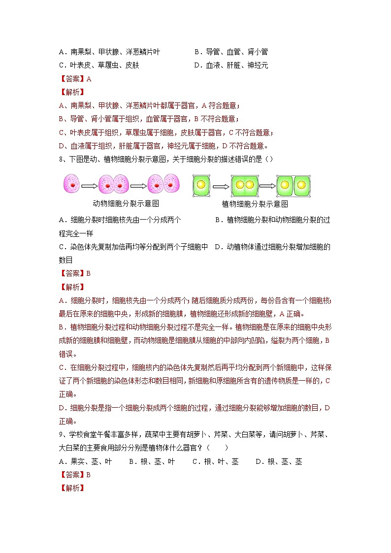 专题03 细胞怎样构成生物体(习题)-【过一轮】2022年中考生物一轮复习精讲与习题精练03