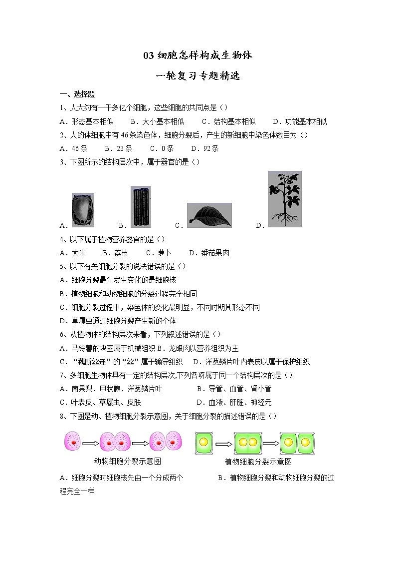 专题03 细胞怎样构成生物体(习题)-【过一轮】2022年中考生物一轮复习精讲与习题精练01