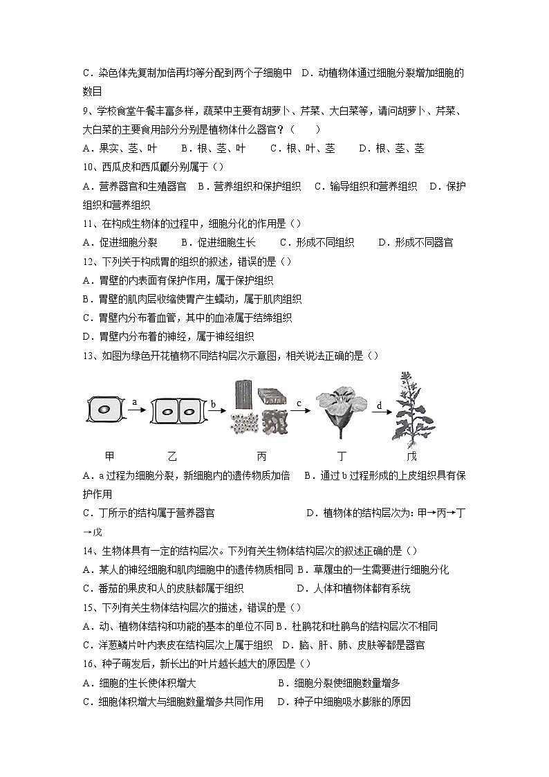 专题03 细胞怎样构成生物体(习题)-【过一轮】2022年中考生物一轮复习精讲与习题精练02