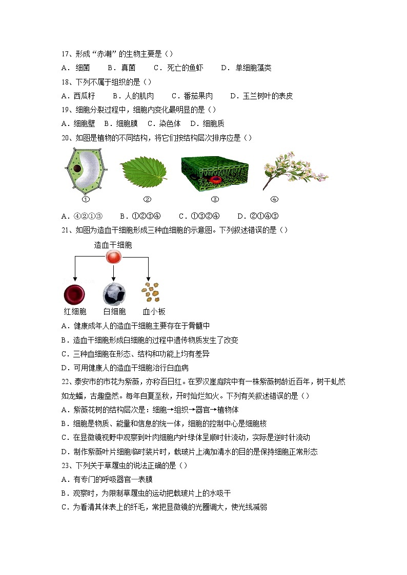 专题03 细胞怎样构成生物体(习题)-【过一轮】2022年中考生物一轮复习精讲与习题精练03