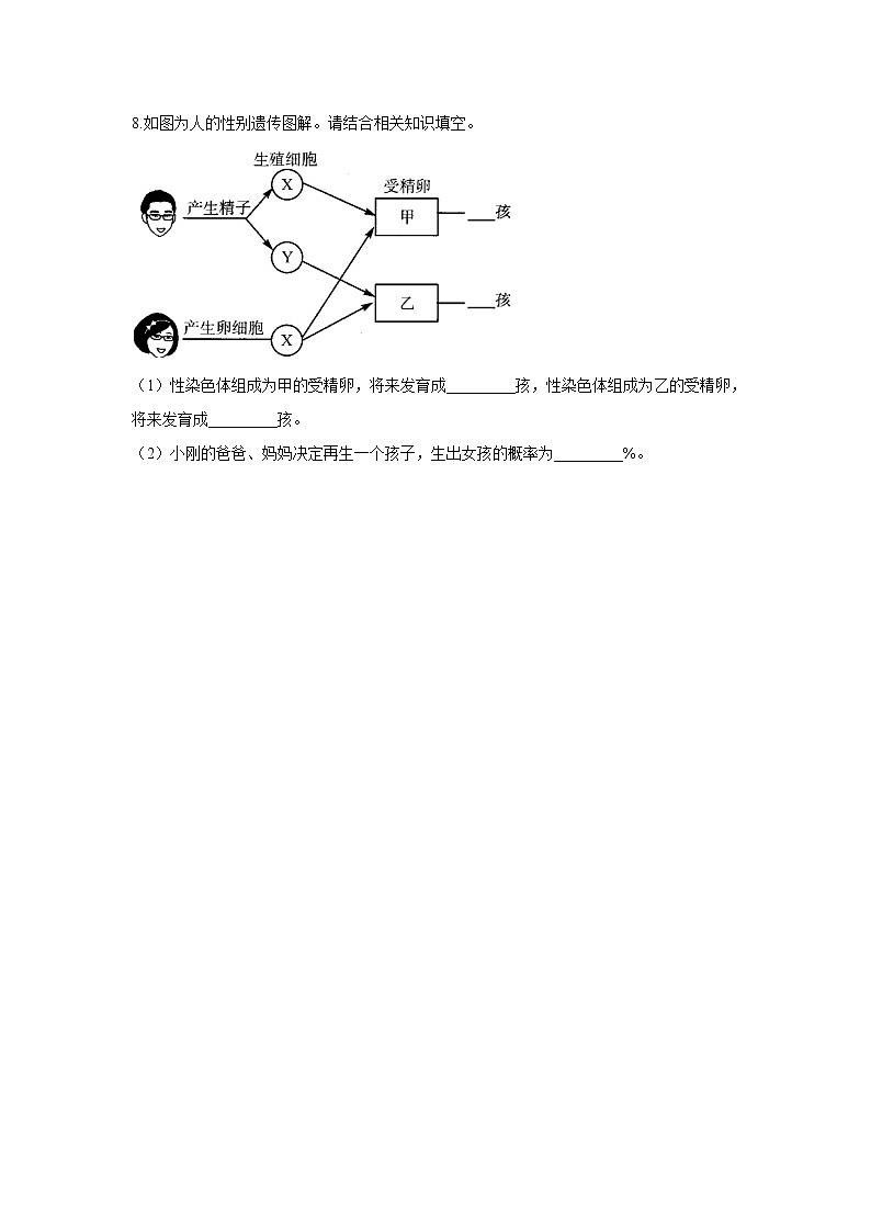 6.2.1人的性别决定-2021-2022学年生物 冀教版八年级下册随堂小测第2页