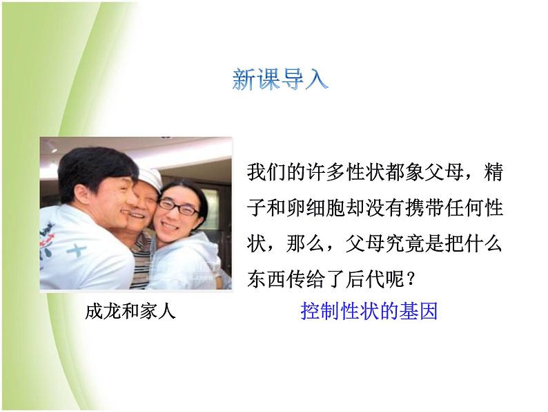 八年级生物下册第七单元生物圈中生命的延续和发展第二章生物的遗传与变异第二节基因在亲子代间的传递教学课件新人教版第3页