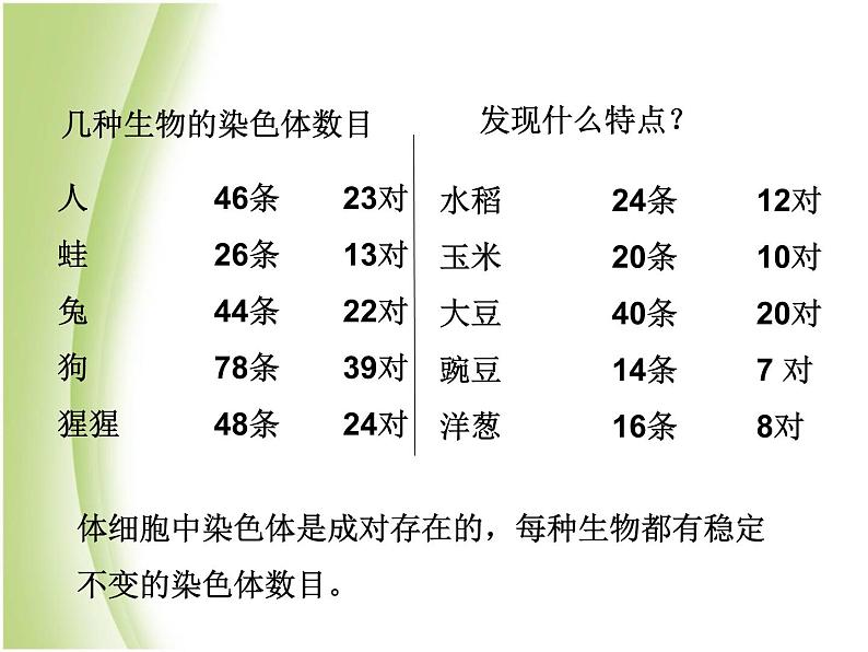 八年级生物下册第七单元生物圈中生命的延续和发展第二章生物的遗传与变异第二节基因在亲子代间的传递教学课件新人教版第8页