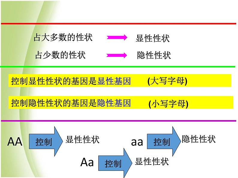 八年级生物下册第七单元生物圈中生命的延续和发展第二章生物的遗传与变异第三节基因的显性和隐性教学课件新人教版07