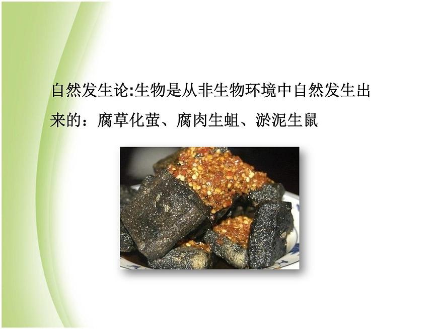 八年級(jí)生物下冊(cè)第七單元生物圈中生命的延續(xù)和發(fā)展第三章生命起源和生物進(jìn)化第一節(jié)地球上生命的起源教學(xué)課件新人教版第6頁(yè)