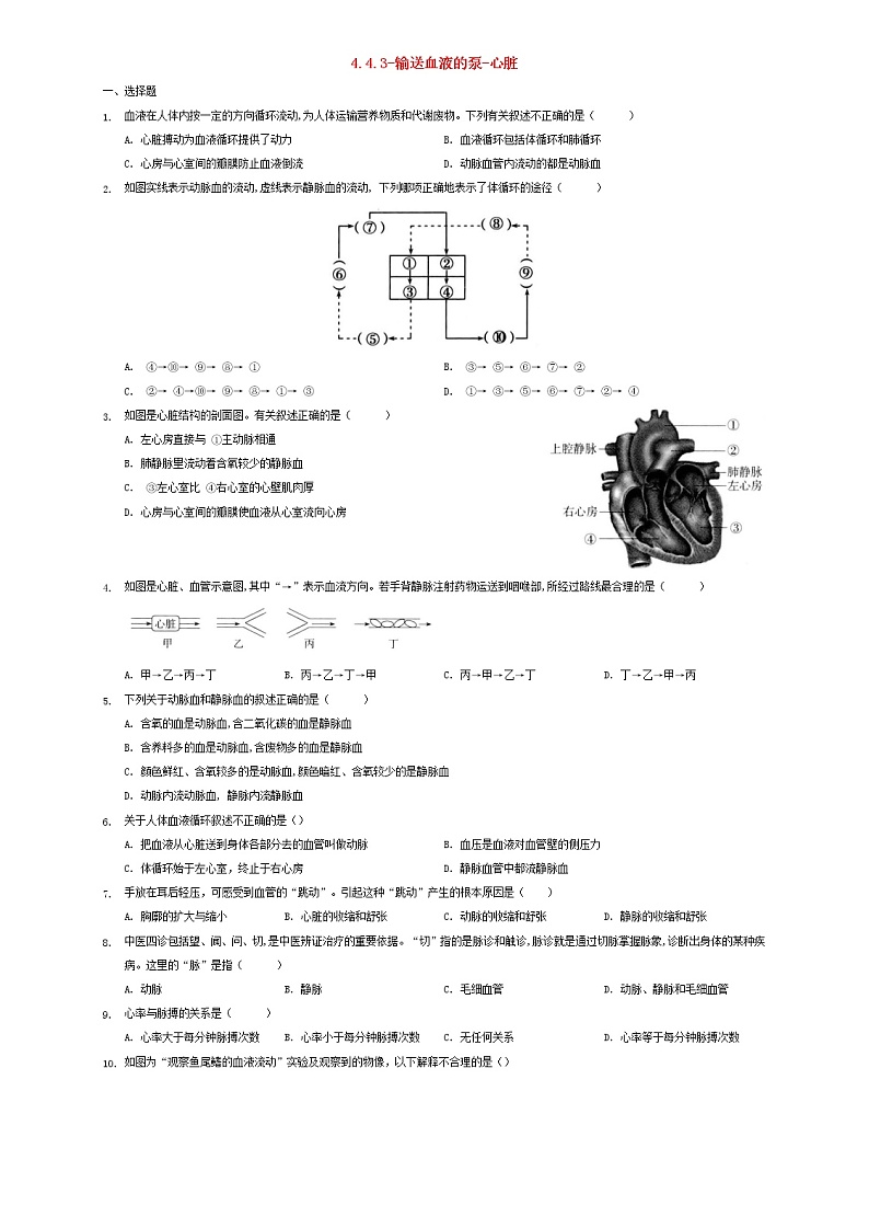 七年级生物下册4.4.3输送血液的泵课堂练习新人教版第1页