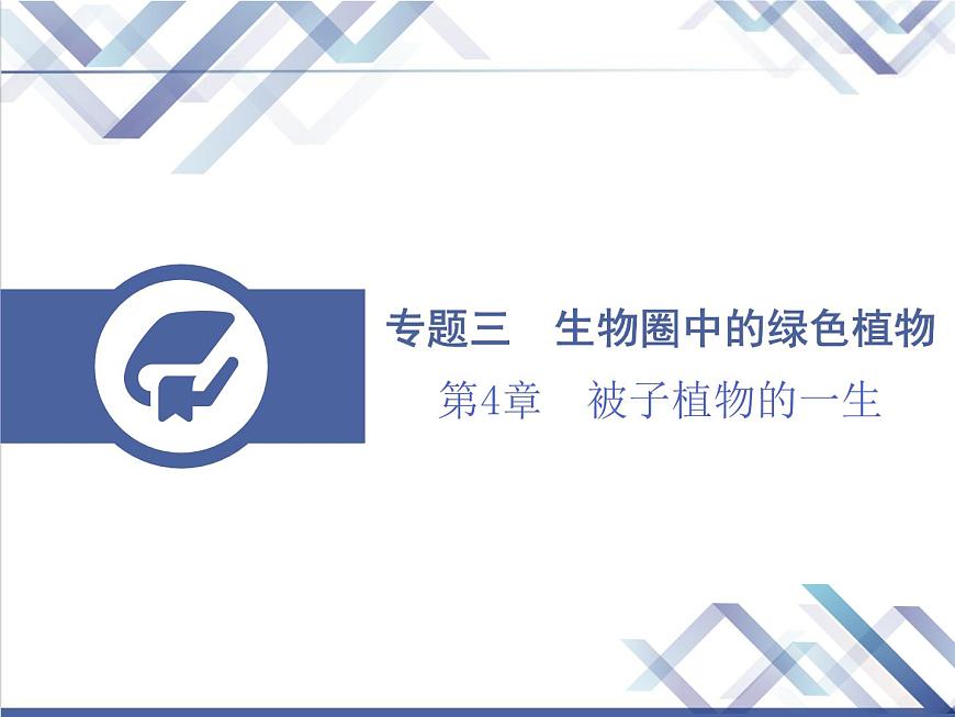 生物中考復習第4章被子植物的一生PPT課件第1頁