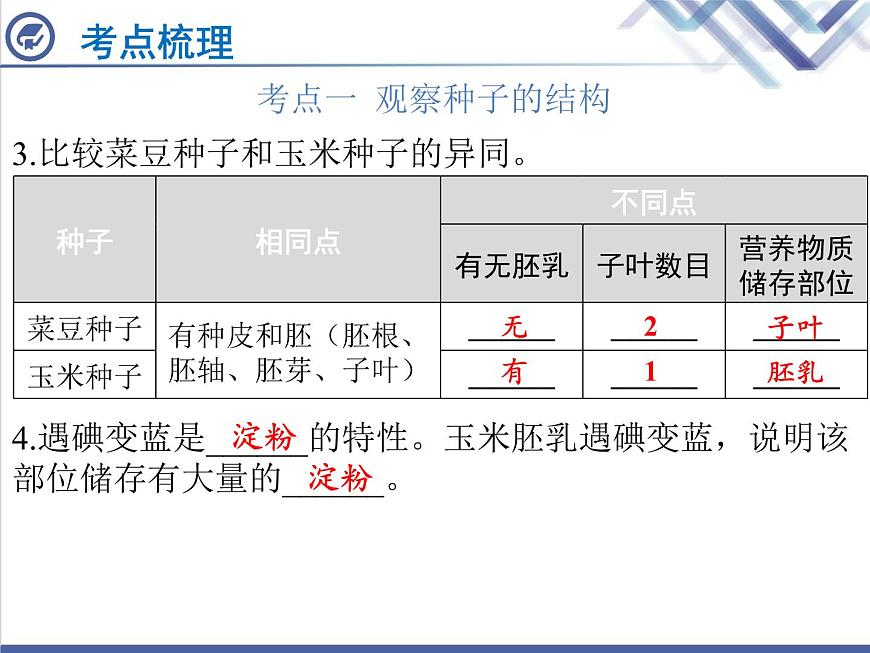 生物中考復習第4章被子植物的一生PPT課件第4頁