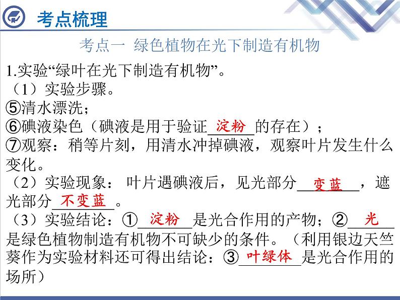 生物中考复习第6章绿色植物是生物圈中有机物的制造者PPT课件第4页