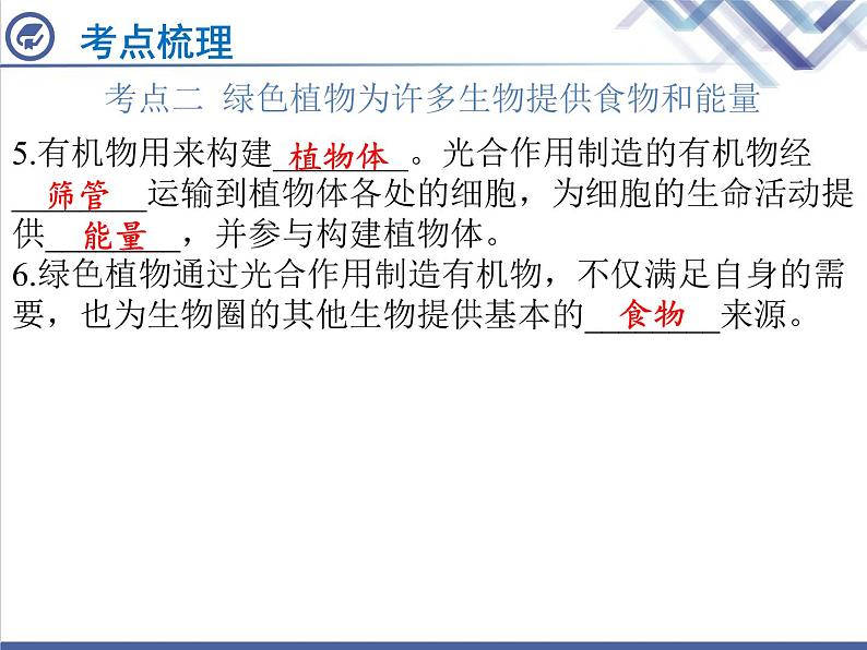 生物中考复习第6章绿色植物是生物圈中有机物的制造者PPT课件第6页