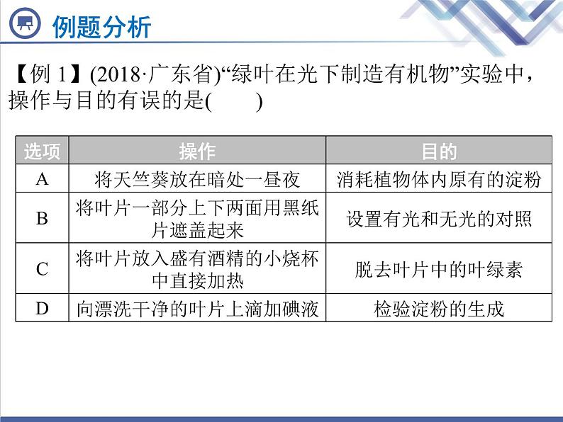 生物中考复习第6章绿色植物是生物圈中有机物的制造者PPT课件第7页