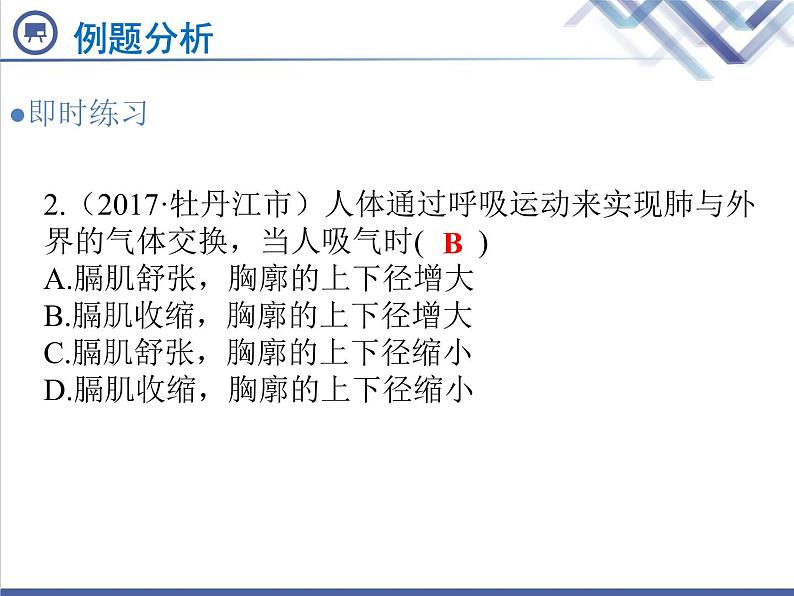 生物中考复习第9章人体的呼吸PPT课件第8页