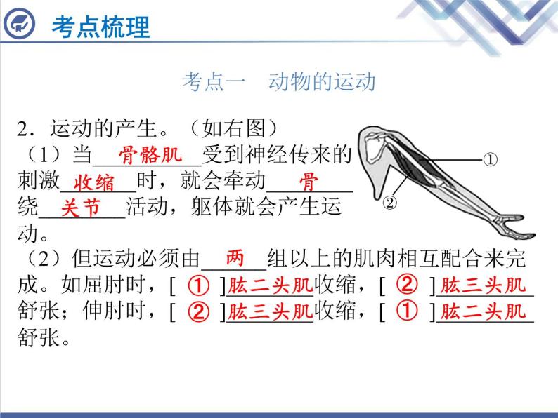 生物中考复习第17章动物的运动和行为PPT课件03