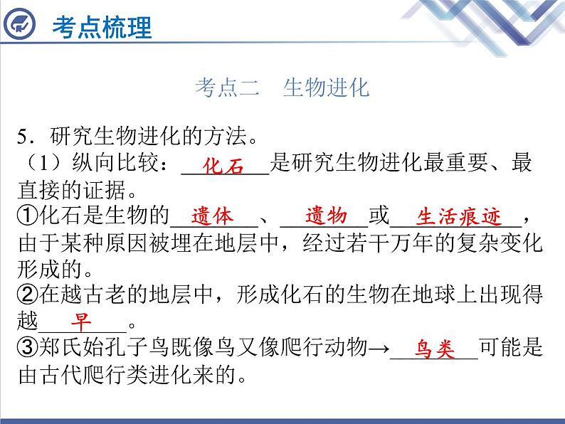 生物中考复习第22章生命起源与生物进化PPT课件05