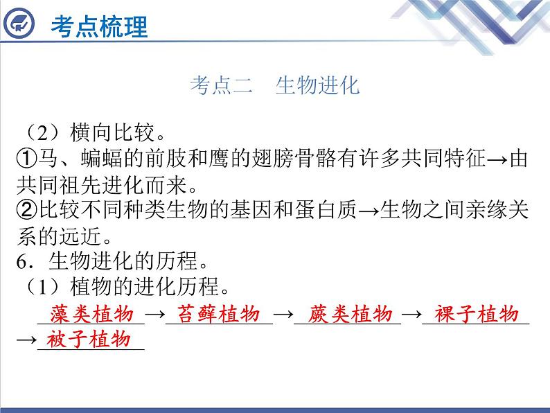 生物中考复习第22章生命起源与生物进化PPT课件06