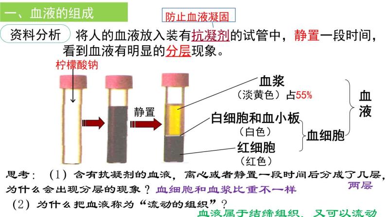 4-4-1流动的组织--血液课件2021-2022学年人教版生物七年级下册03