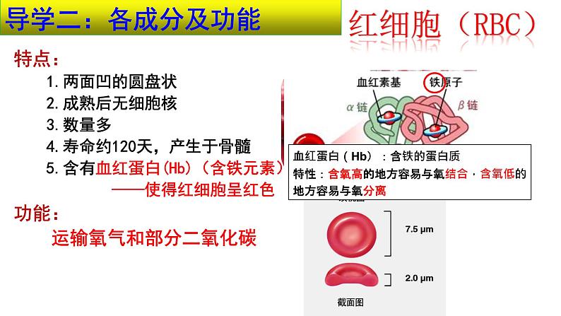 4-4-1流动的组织——血液课件2021-2022学年人教版生物七年级下册第6页