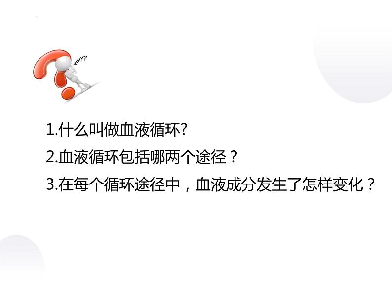 10-2人体的血液循环课件第2课时2021--2022学年苏教版生物七年级下册第5页