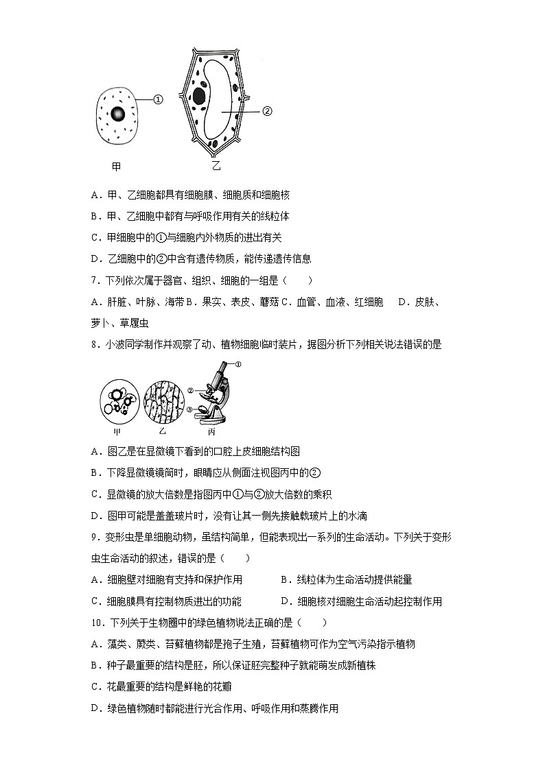 安徽省亳州市利辛县2021-2022学年七年级上学期期末生物试题(word版含答案)第2页
