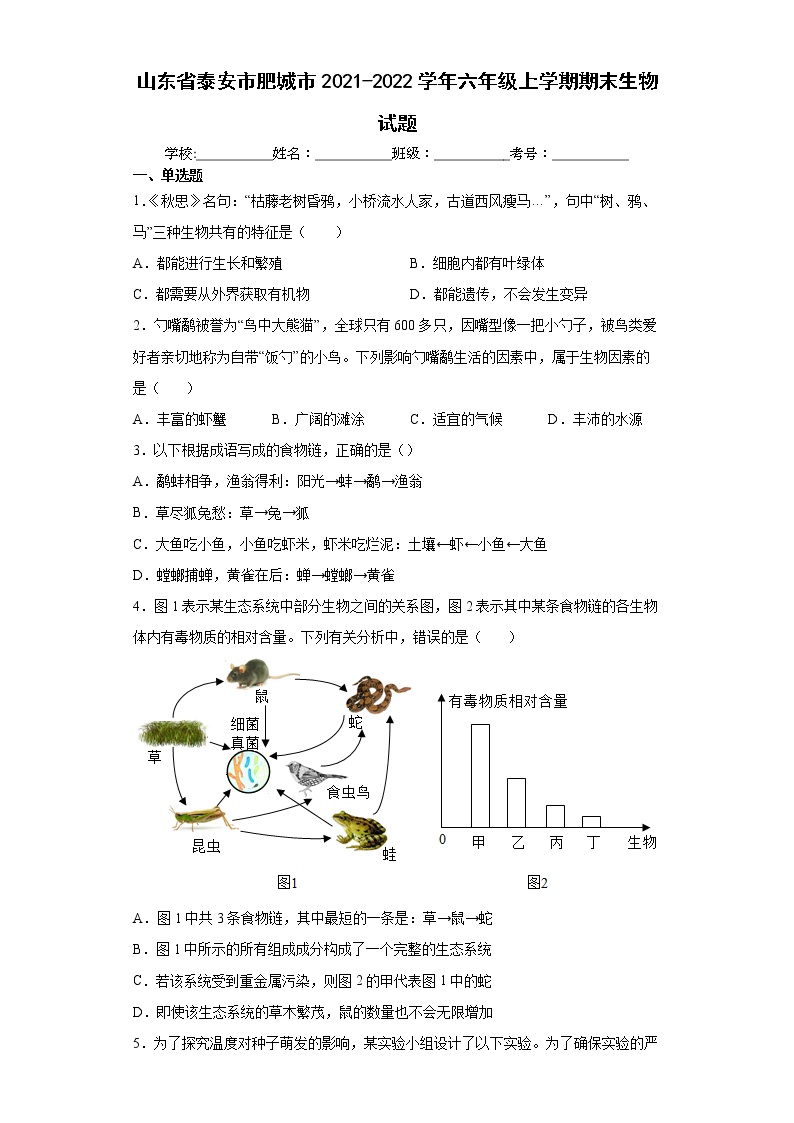 山东省泰安市肥城市2021-2022学年六年级上学期期末生物试题（word版含答案）