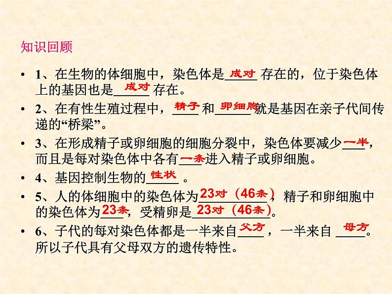 《基因的显性和隐性》课件第2页