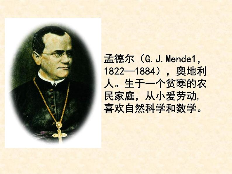《基因的显性和隐性》课件第6页