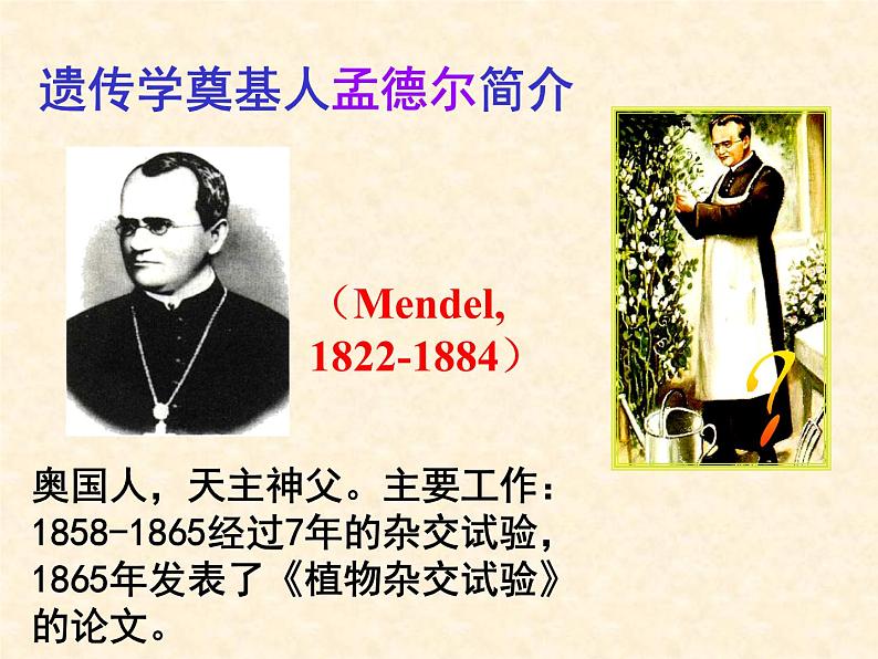 《基因的显性和隐性》课件第7页