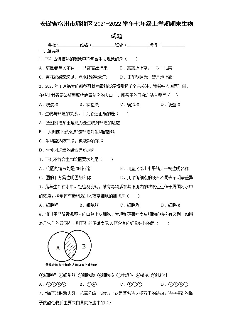 安徽省宿州市埇桥区2021-2022学年七年级上学期期末生物试题(word版含答案)第1页
