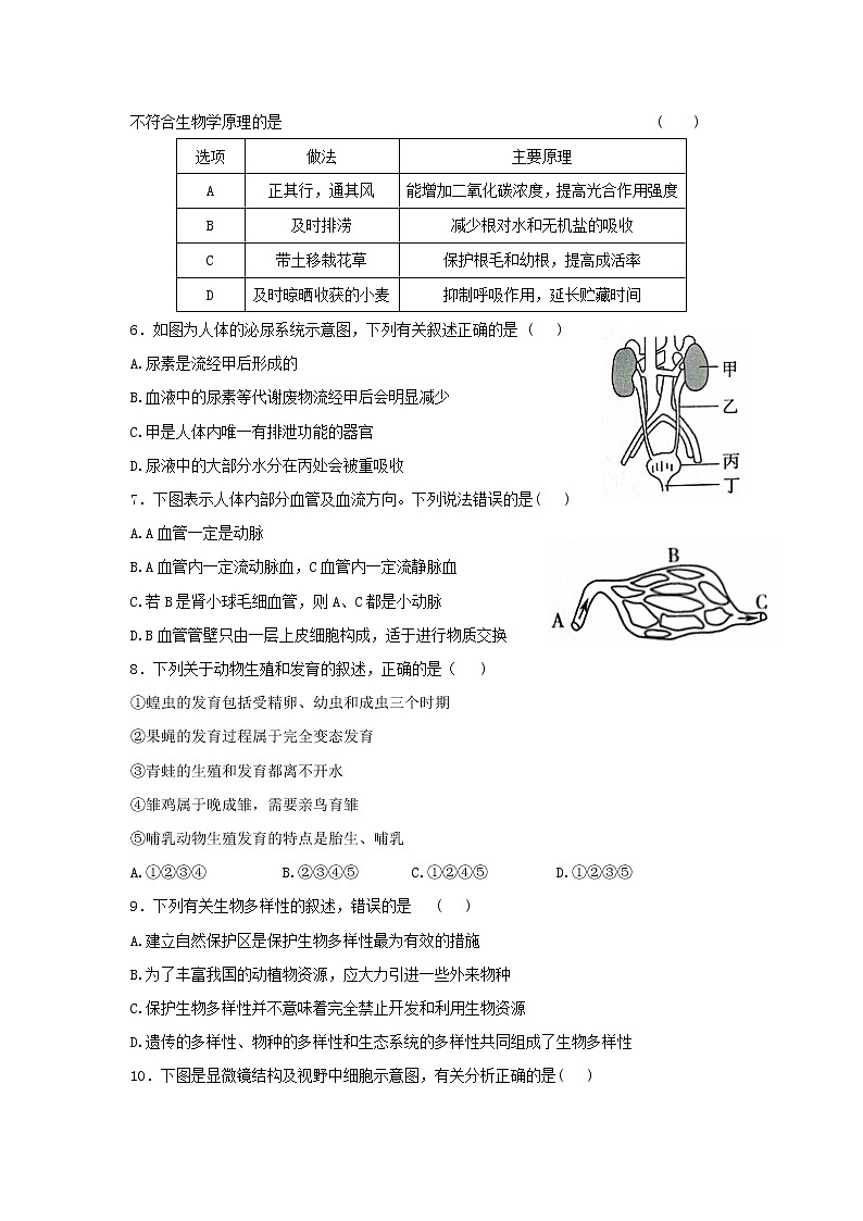 2022年山东省泰安市生物中考模拟卷(一)(word版含答案)第2页