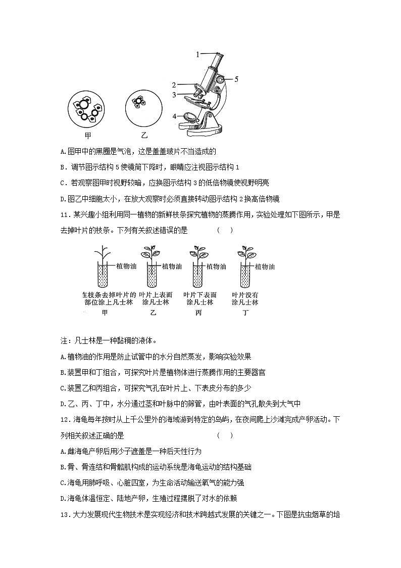 2022年山东省泰安市生物中考模拟卷(一)(word版含答案)第3页