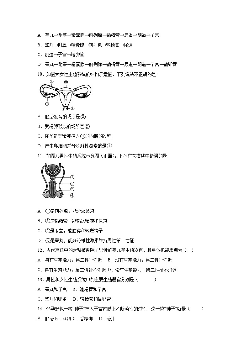 4.1.2人的生殖同步练习2021-2022学年人教版生物七年级下册(word版含答案)第2页