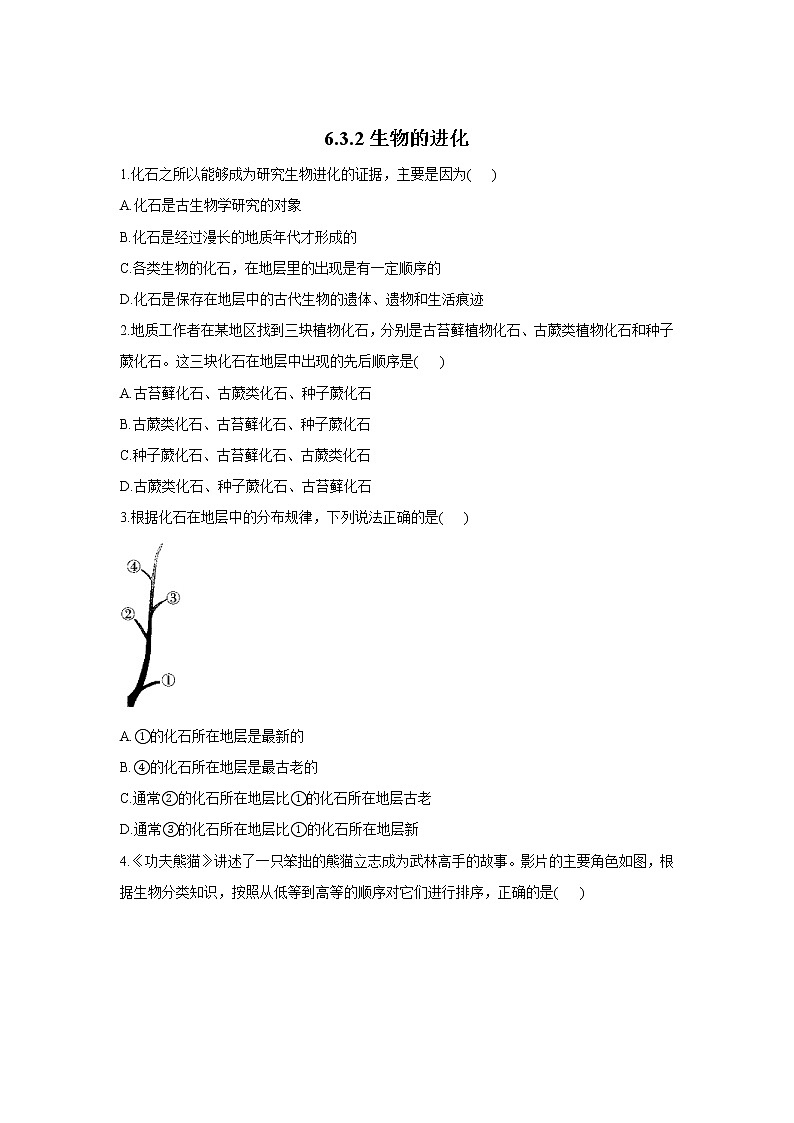 6.3.2生物的进化-2021-2022学年生物冀教版八年级下册同步课时作业 练习01