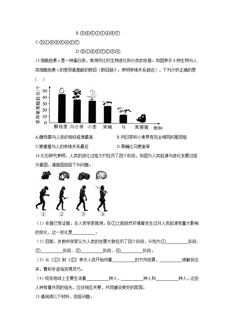 6.3.3人类的起源-2021-2022学年生物冀教版八年级下册同步课时作业 练习03