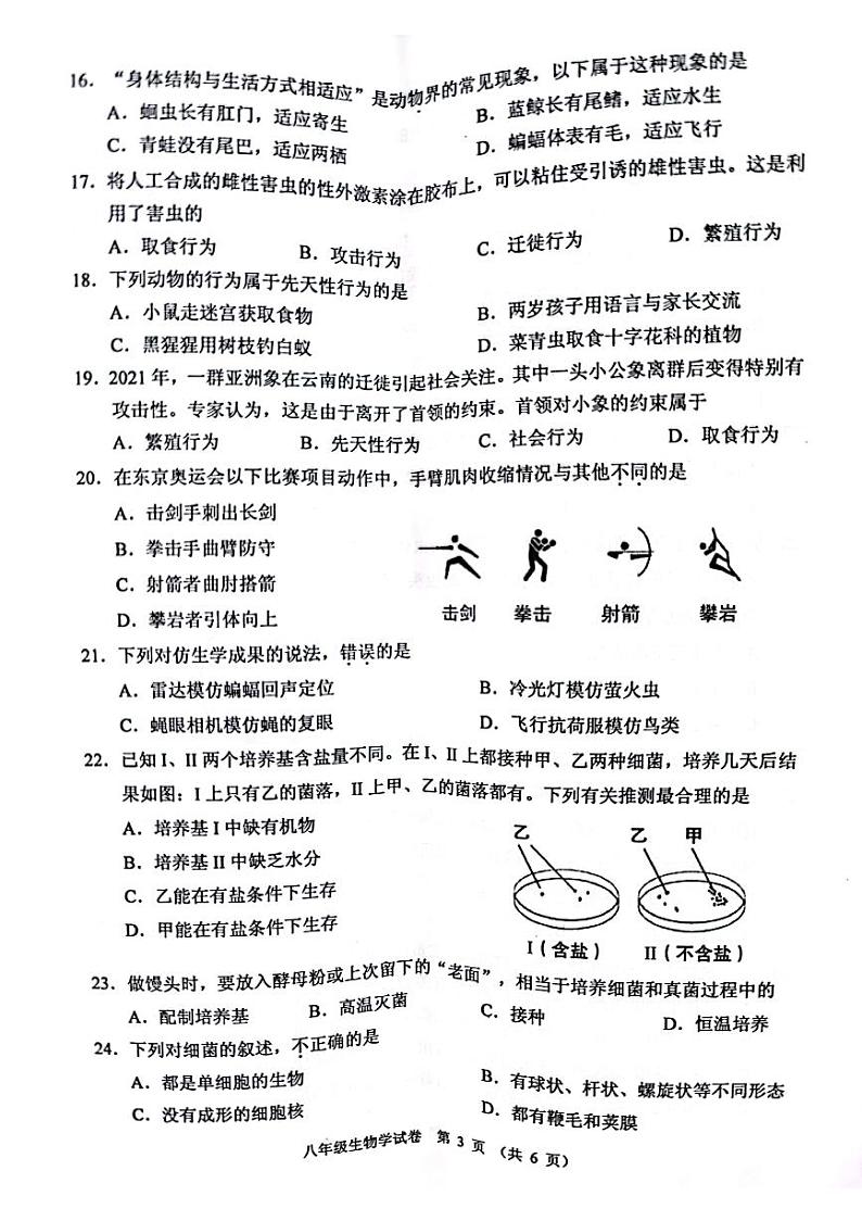 广东省中山市2021-2022学年上学期八年级生物期末试卷(无答案)第3页