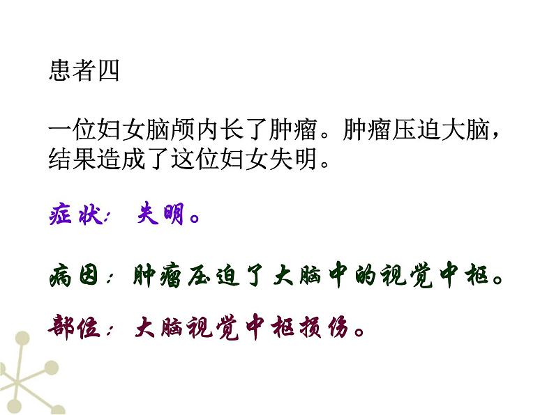 4.6.2神经系统的组成课件2021--2022学年人教版生物七年级下册06