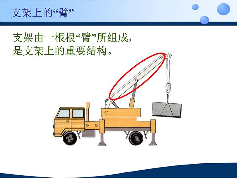 《动物的运动》课件第3页