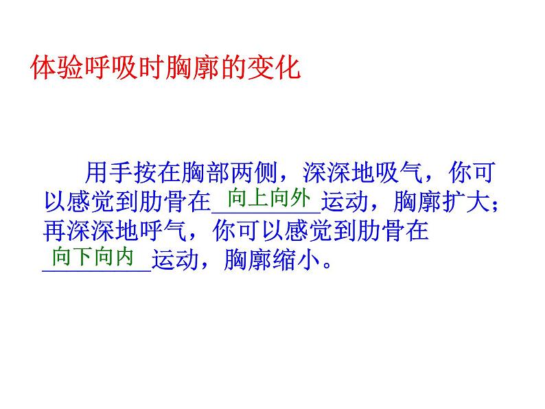 《发生在肺内的气体交换》课件第5页