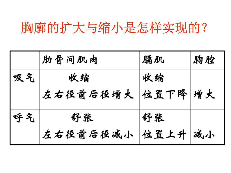 《发生在肺内的气体交换》课件第8页