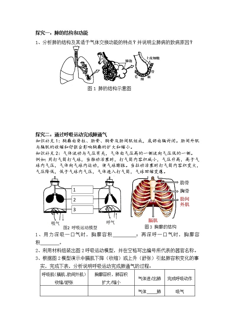 北师大版生物七年级下册 第10章 第2节 人体细胞获得氧气的过程(1)(教案)第2页