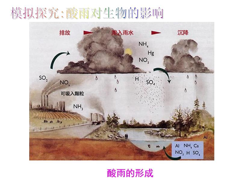 《探究环境污染对生物的影响》课件03