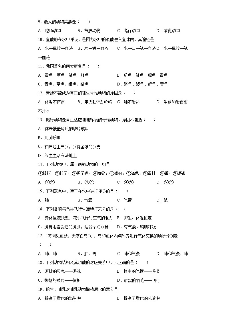 廣東省河源市第二中學(xué)2021-2022學(xué)年八年級上學(xué)期期中生物試題(word版含答案)第2頁