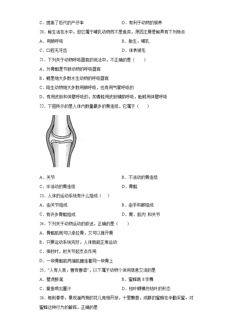 廣東省河源市第二中學(xué)2021-2022學(xué)年八年級上學(xué)期期中生物試題(word版含答案)第3頁